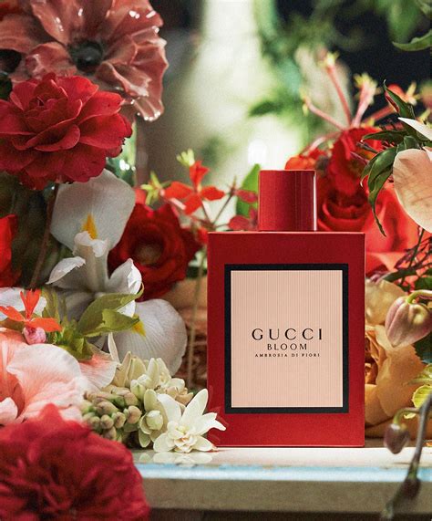 gucci bloom ambrosia